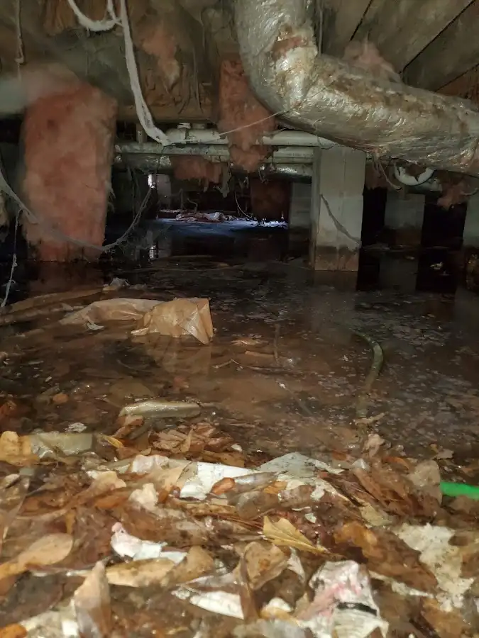 Crawl space flood assessment for Leak Detection & Repair in Groesbeck
